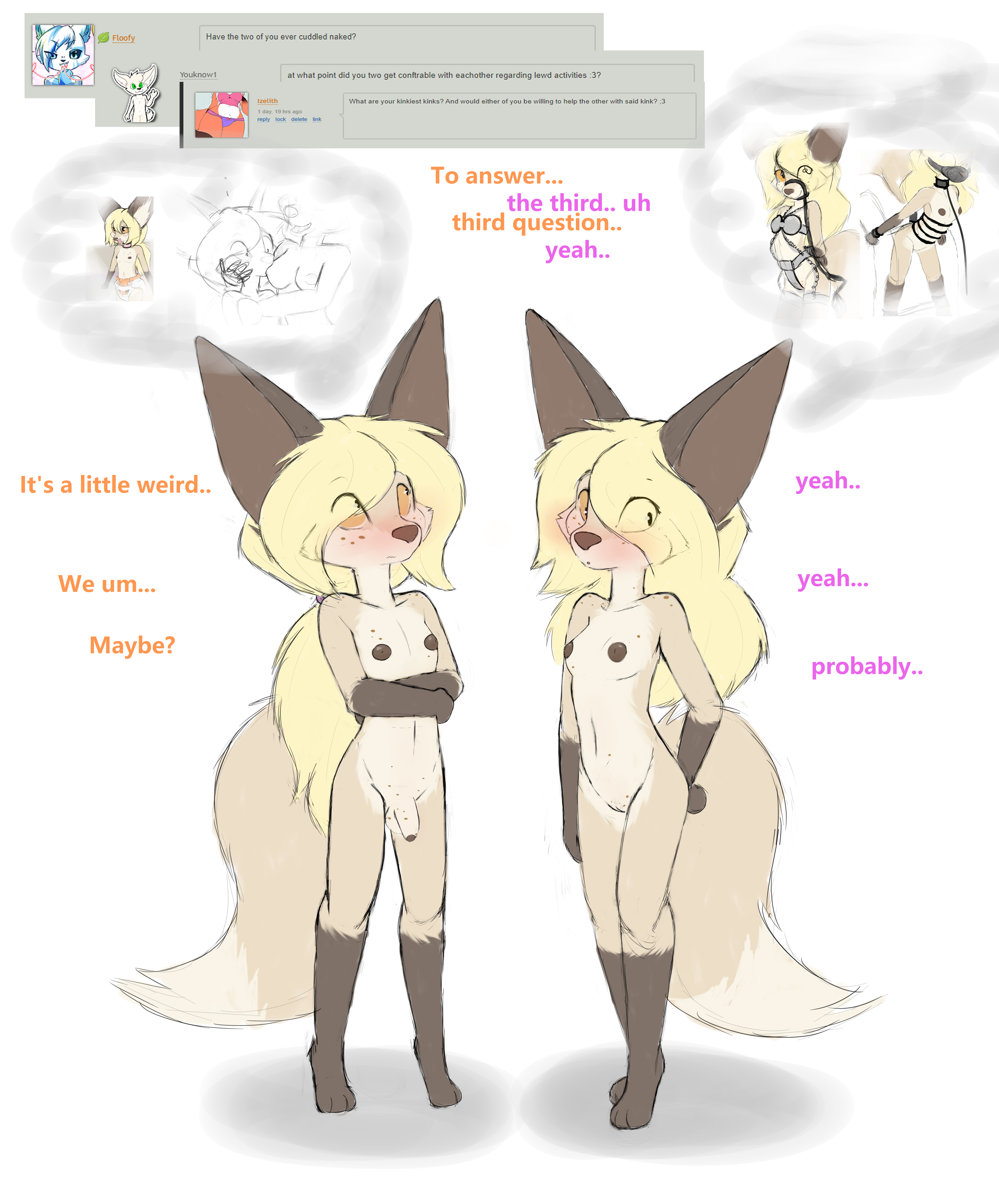 4646525_Smolfoks_ask6c.png