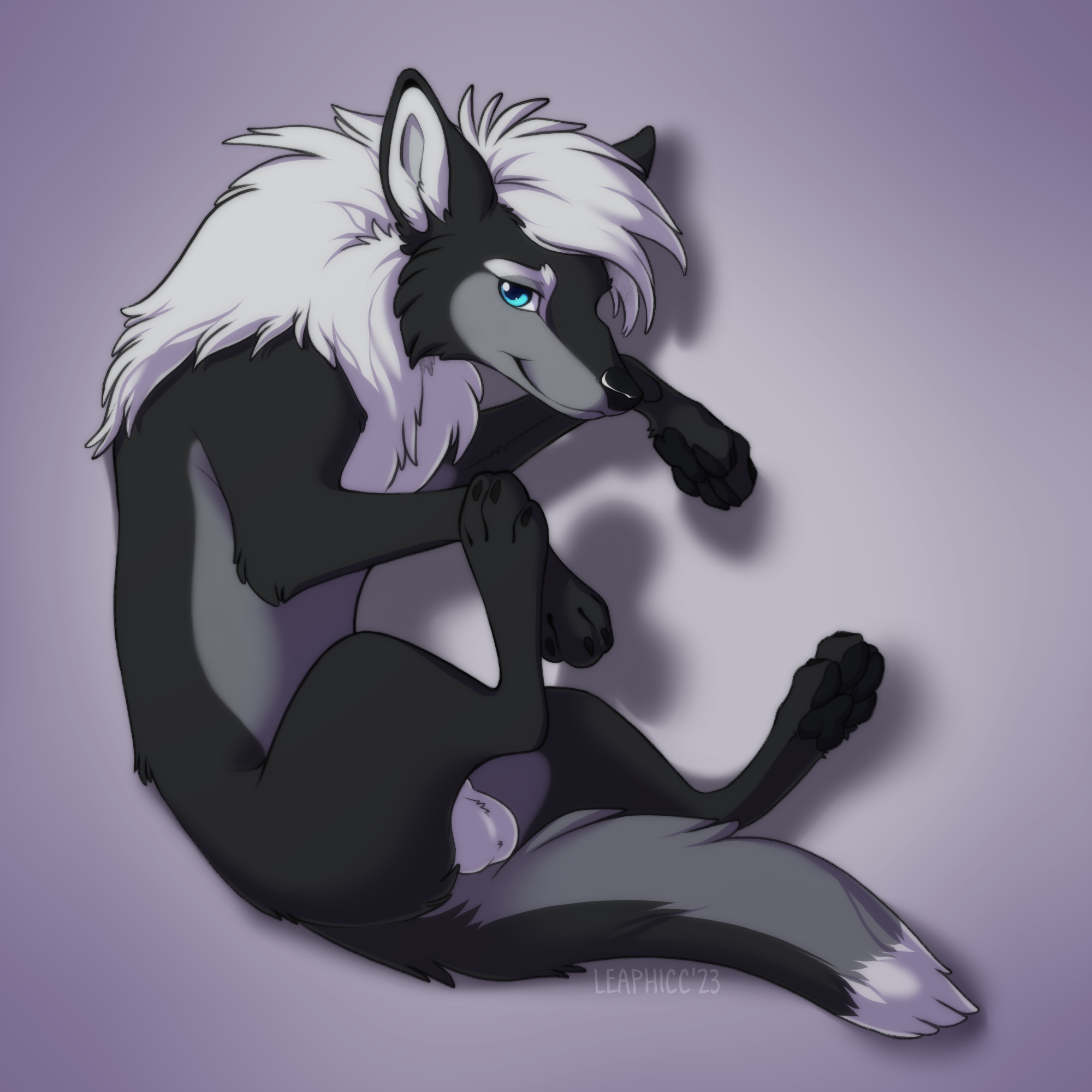 4651107_Nightdancer_laying_2.png