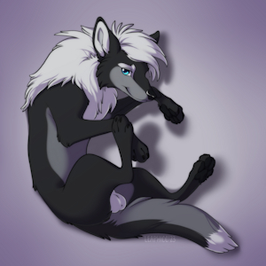 4651107_Nightdancer_laying_2.png