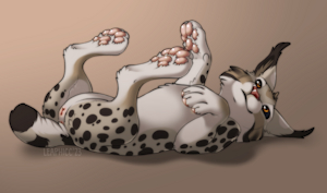 4651109_Nightdancer_laying_1.png
