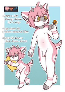 Spring Deer Adopt