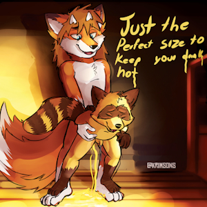 Warm raccoon