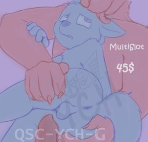 QSC-YCH-G