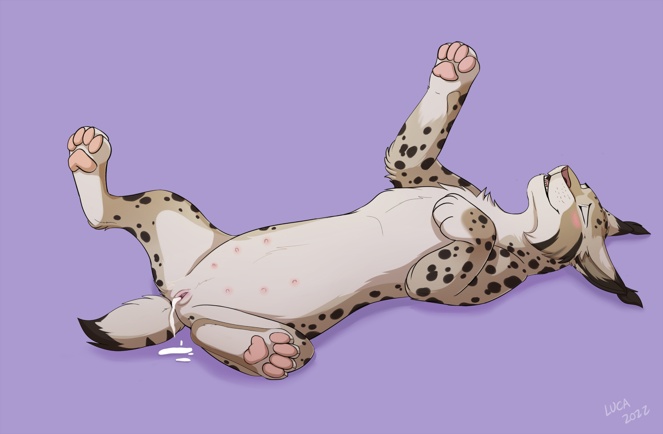 4657573_Nightdancer_that_hit_the_spot.png