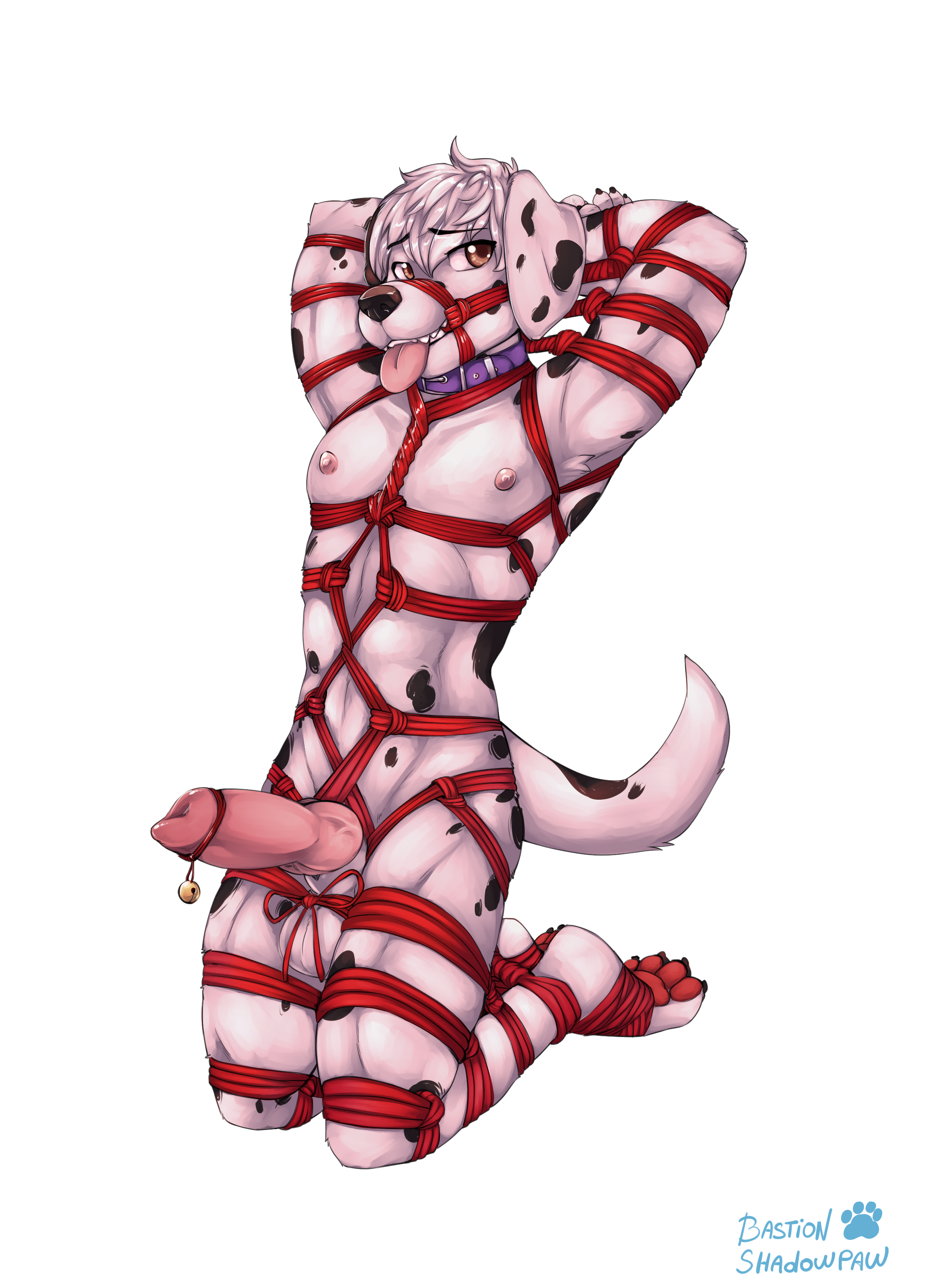 4659939_BastionShadowpaw_raito_-_bound_for_pleasure.png