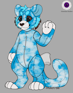 My Plush Suit Collection: Blue and White Cat