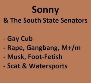 Sonny and The South State Senators - Subscribestar Suggestion