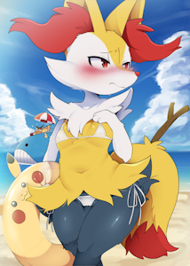 braixen