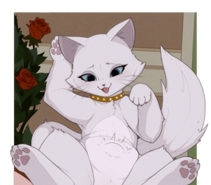 Duchess