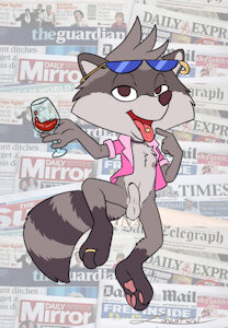 Sassy Raccoon