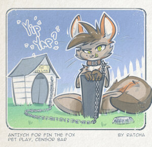 Antiych for fin the fox
