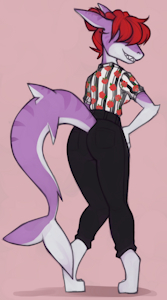 Dapper Shark