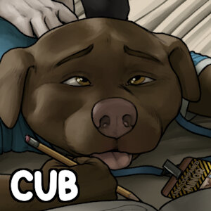 What happens at Cub Con...