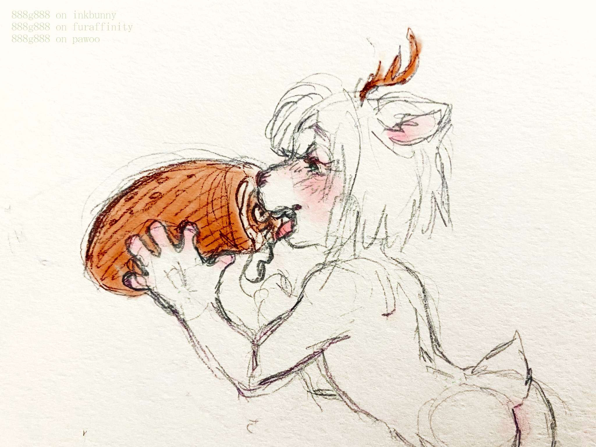 4680829_888g888_swissroll2.jpg