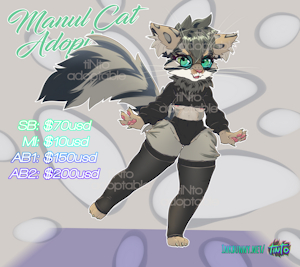Manul Cat Adopt :3 (open)