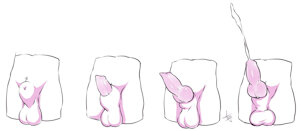 4687051_Chirmaya_60b.jpg