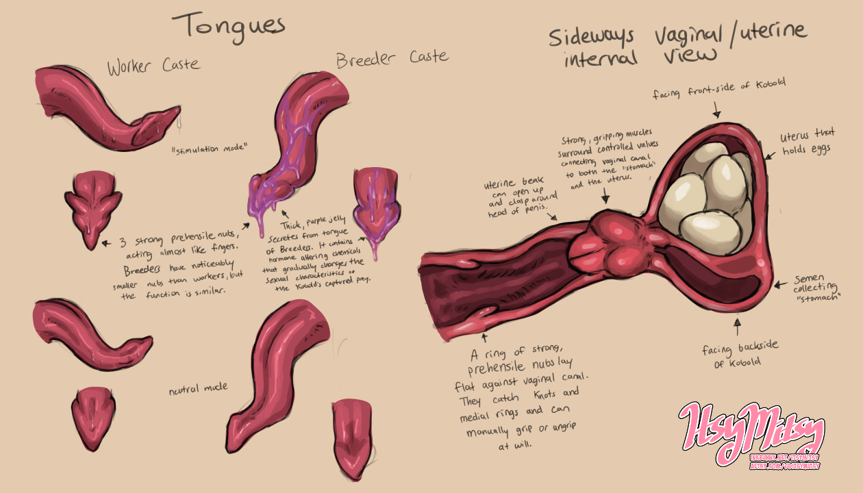 4691219_ItsyMitsy_tongueandinternalref_web_2.png