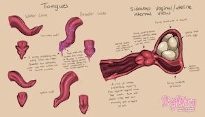 4691219_ItsyMitsy_tongueandinternalref_web_2.png