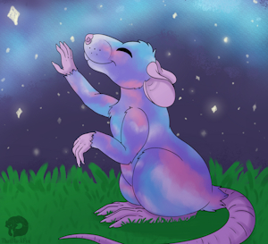 Reach For The Stars