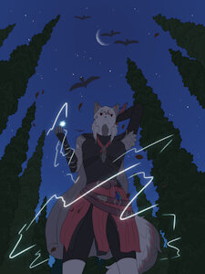 The Forest of Midnight