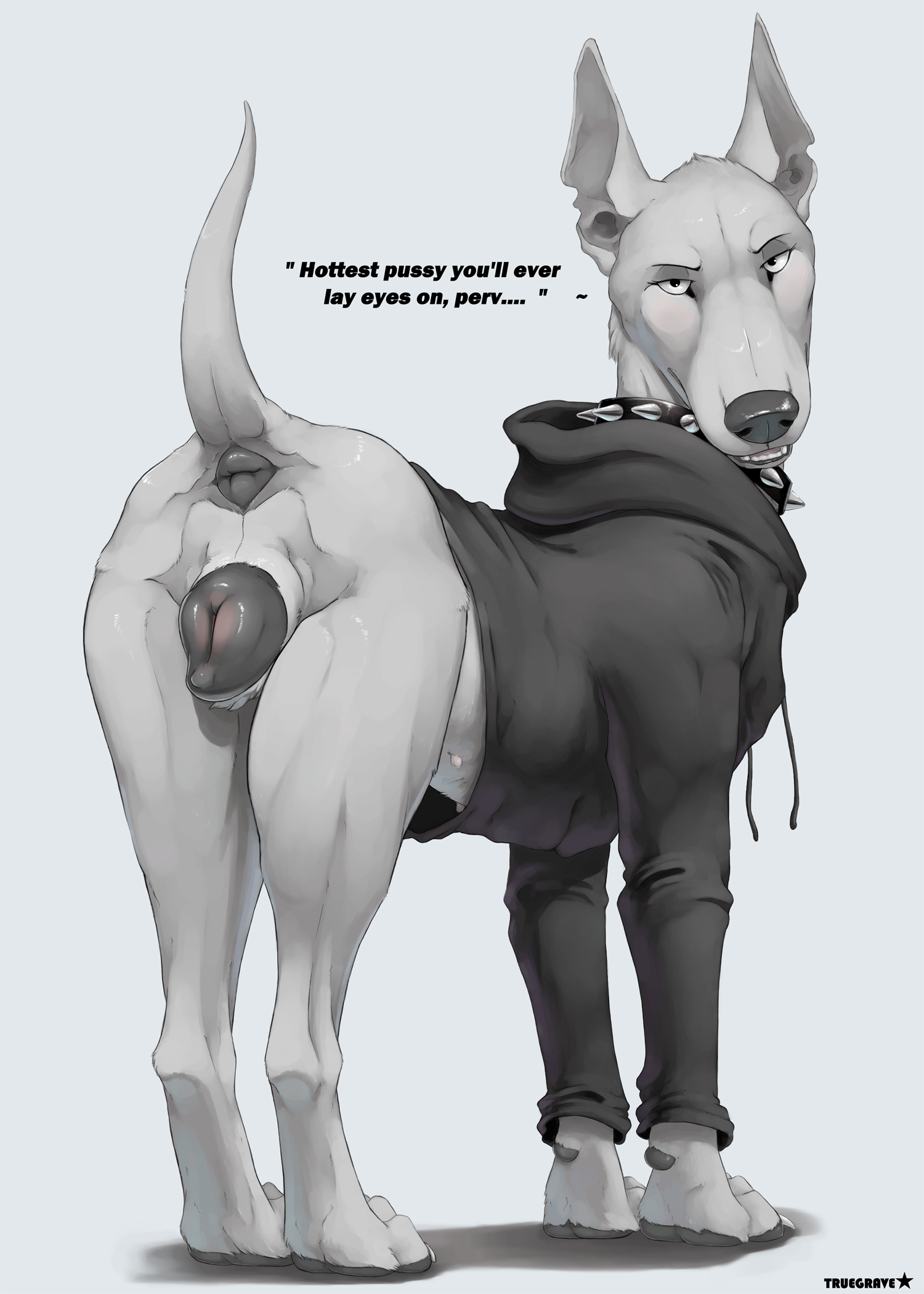 4695253_Truegrave9_jessy_sweatshirt_final_color_text_small.png