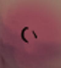 4697447_Fetterfetti_screenshot_2023-09-25_231208.png