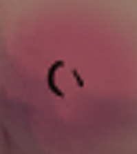 4697447_Fetterfetti_screenshot_2023-09-25_231208.png