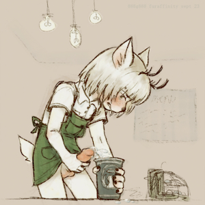 Barista
