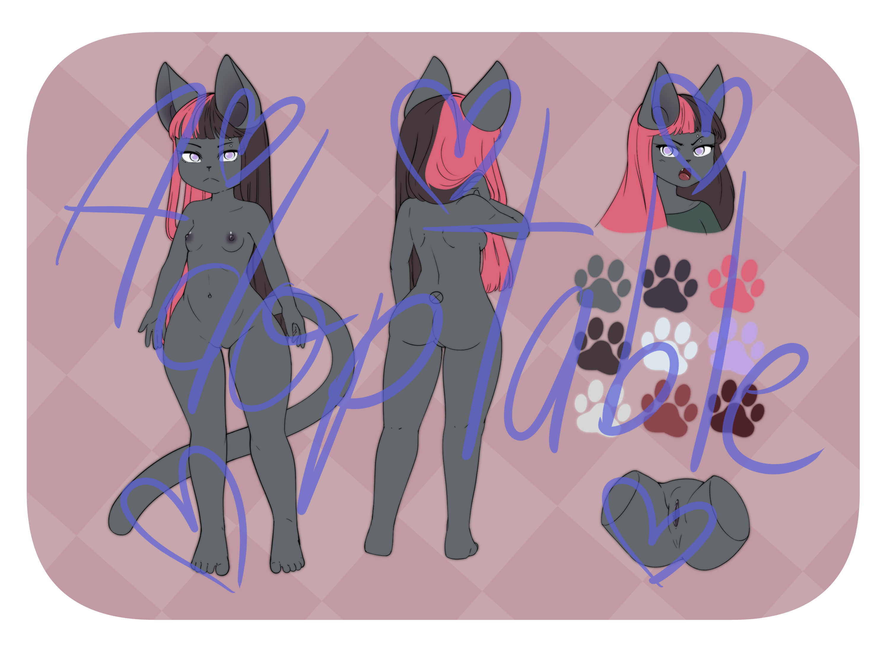4710389_pucco_cat.png