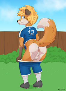 Soccer Goal or Football Hole? :3