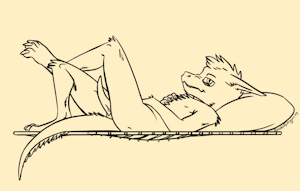 4711832_TwistedDragon_richterbed_final_randy.png