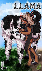 L is for llama