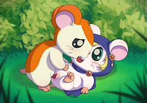Hamster Love
