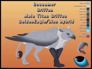 Gossamer Griffon Ref sheet