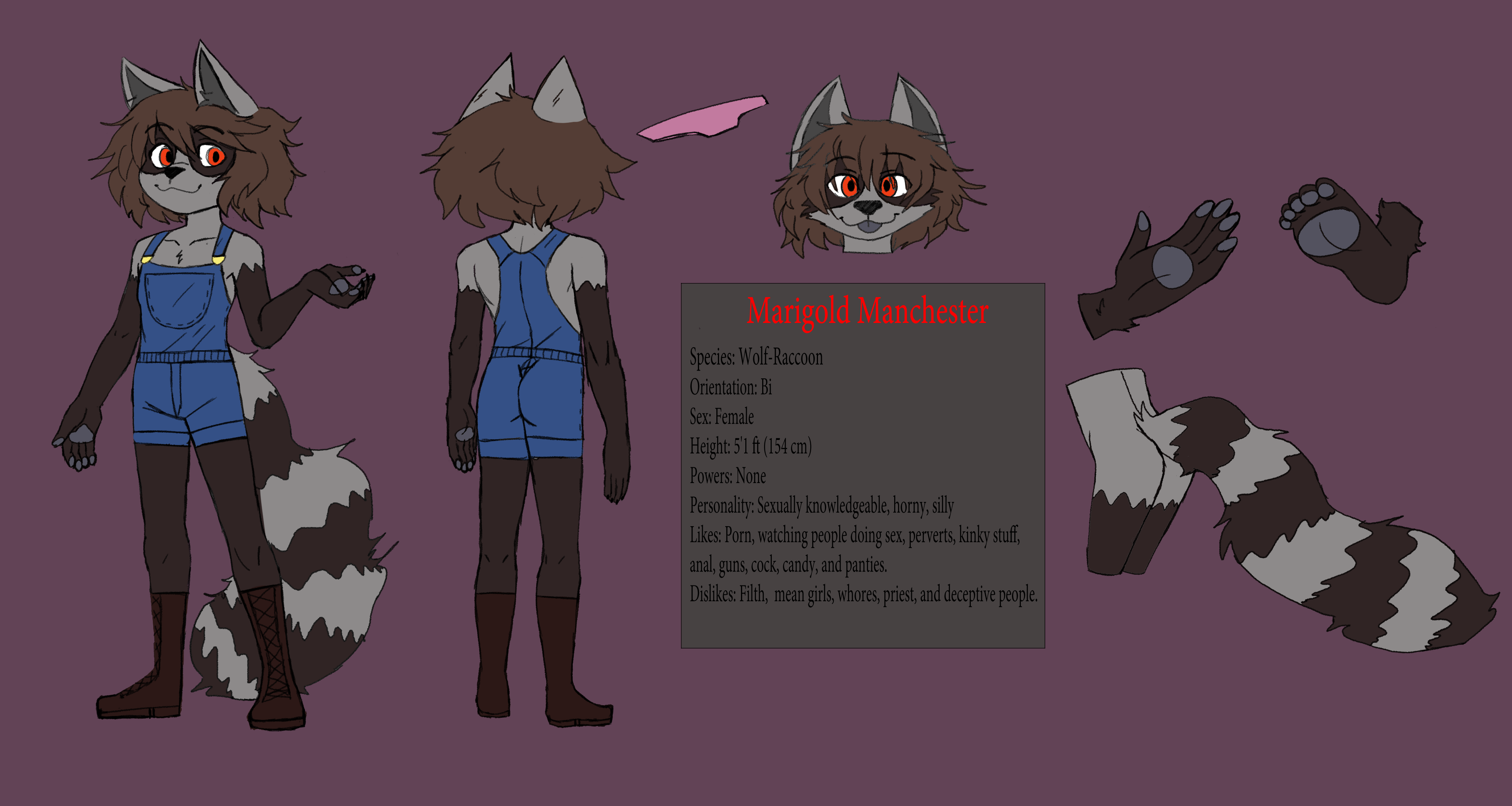 4717659_Ringpaw_marigold1.png