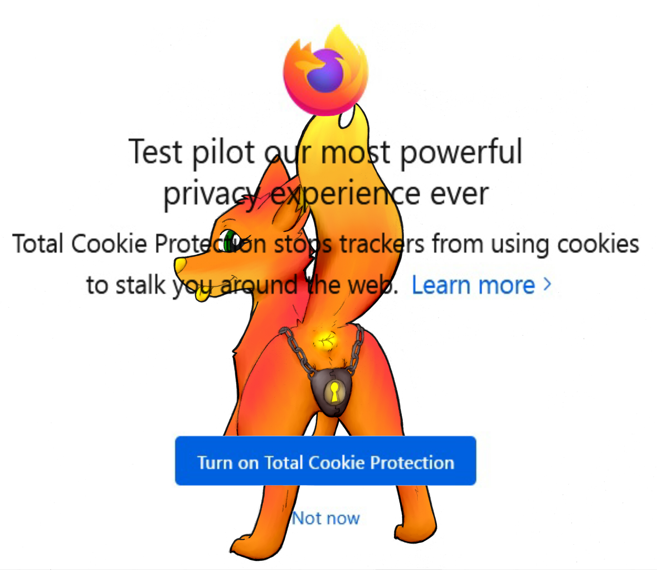 4720972_Animew_cookie_protectiongin.jpg