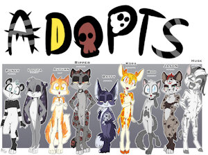 *PREORDERS AVAILABLE*_Adopt-a-boo