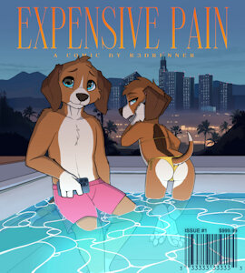 EXPENSIVE PAIN