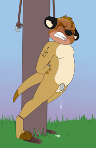 Struggle Against the Pole