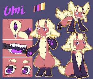 umi sketchdump