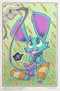 Pet Bunny
