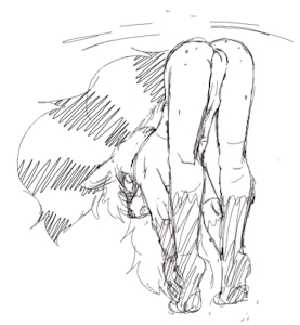 4740559_Ringpaw_illustration243.png