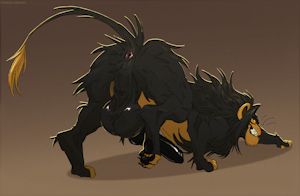 Kuro Lion Searchin