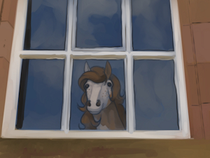 Window