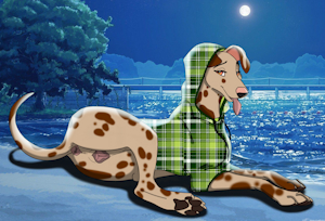 Moonlight Biscuit