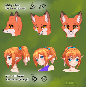 Eye Shapes