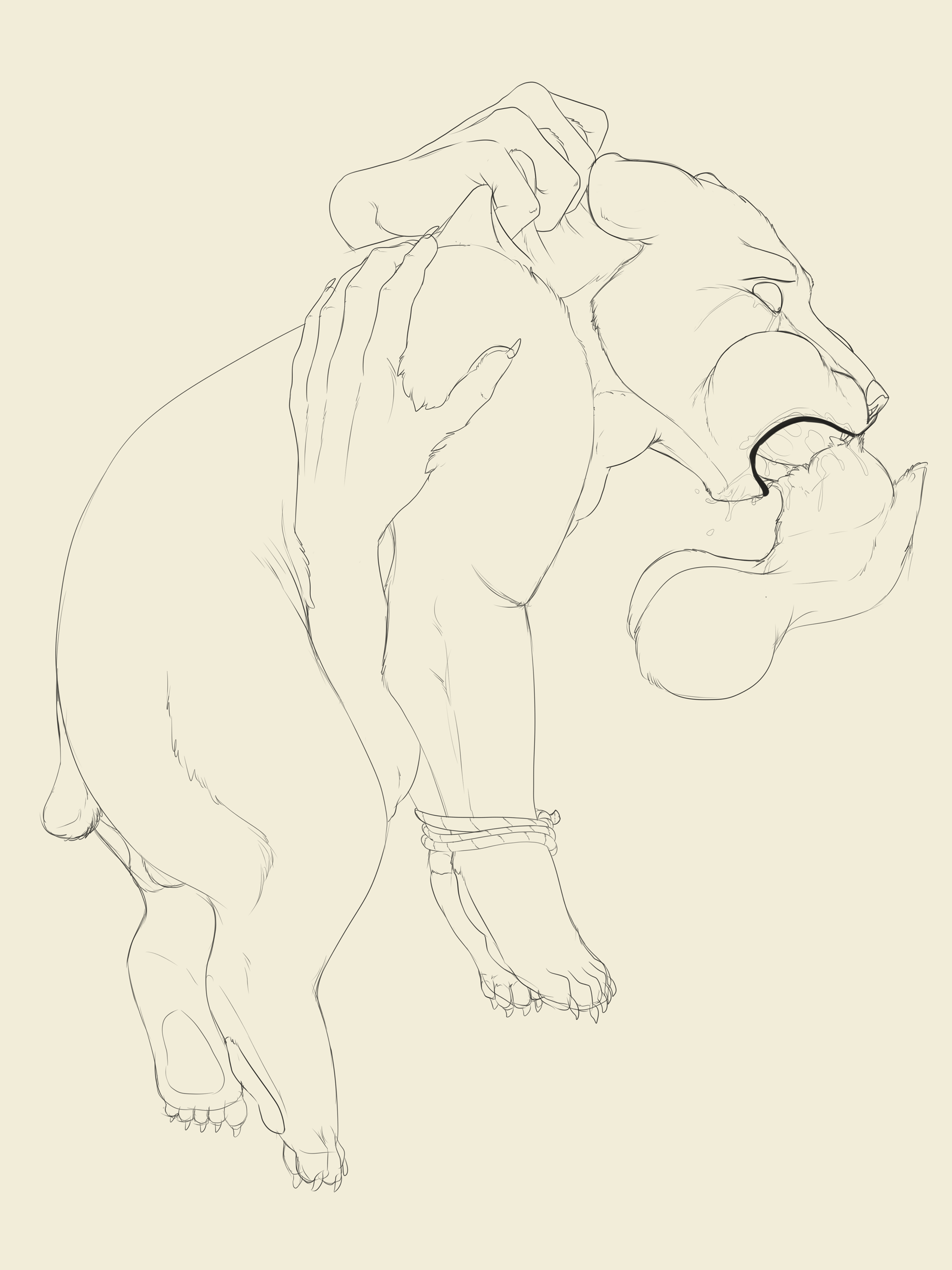4743222_Backlash91_bear_cub.png