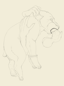4743222_Backlash91_bear_cub.png