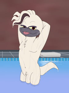 At the Bathhouse