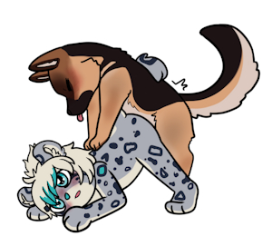 Snep x Shep
